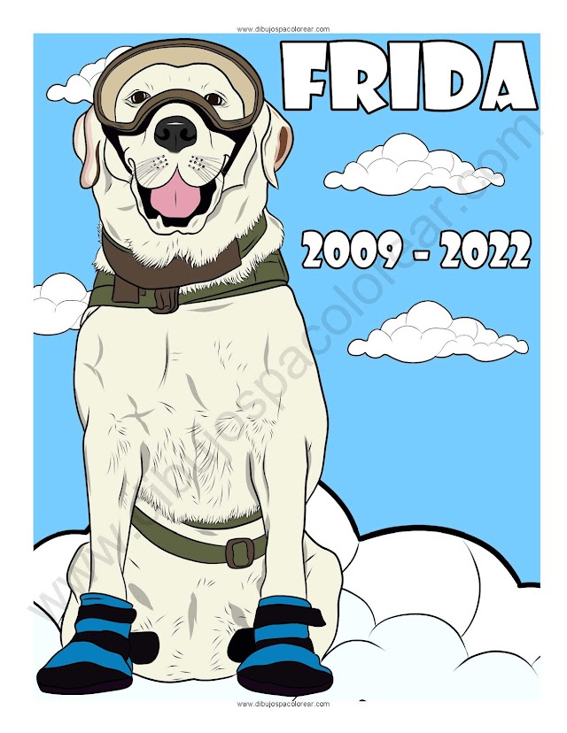 15 de Noviembre 2022, Muere la Perrita Frida dibujo a color y para colorear